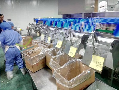 青岛欧亚德琵琶腿重量分级机 鸡肉重量分选机 自动重量分拣秤定金图4