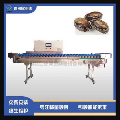 厂家供应 青岛欧亚德料盒分级秤 生蚝海蛎子重量分选设备定金图3