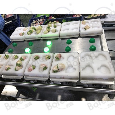 上海厂家半自动重量组合秤 手动组合秤 草莓手动组合秤 果蔬秤图3
