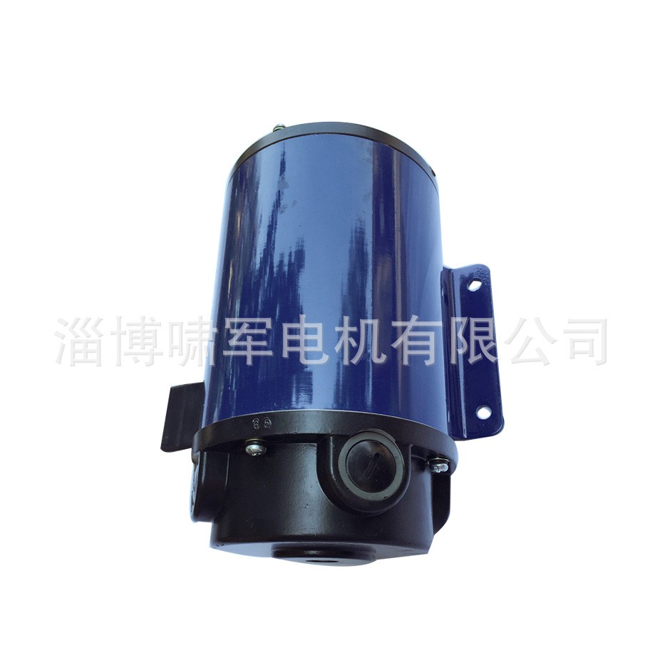 130ZYT51 永磁直流电机110V 500W 1500转立式安装博山电机 效率高图5