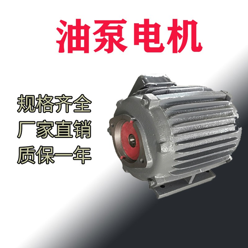 工厂可定制油泵电机VP/R1/HGP/CBN/柱塞泵电机1.5/2.2/5.5KW纯铜图5