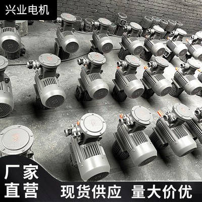 现货批发变极多速三相异步电动机YE3直流防爆电机高销节能电动机图2