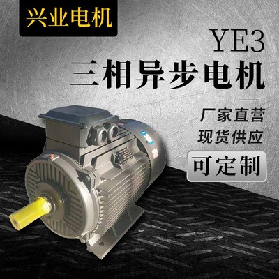 现货批发变极多速三相异步电动机YE3直流防爆电机高销节能电动机