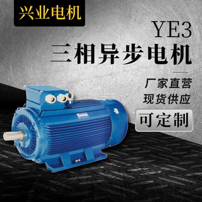 现货批发变极多速三相异步电动机YE3直流防爆电机高销节能电动机图3