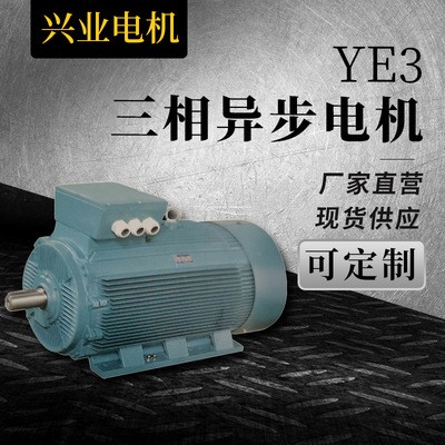 现货批发变极多速三相异步电动机YE3直流防爆电机高销节能电动机图4