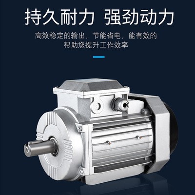 厂家现货直销 Y2-112M-2 4kw电机 三相异步电动机 铝壳 质保一年图2