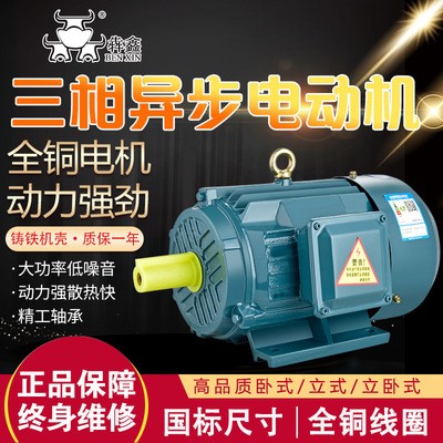 18.5-22KW YE2三相异步电动机30kw37kw45kw2极铜线水泵风机用电机图2