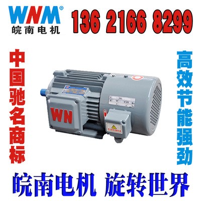 皖南电机价格YX3-90S-6 0.75KW现货供应图4
