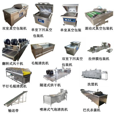 食品包装机 商用双室连续真空封口机 鸡翅烧鸡全自动真空包装机图5