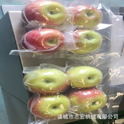 厂家直销真空食品包装机 双室干湿两用包装机 蔬菜水果包装设备图5