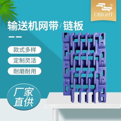 20突肋输送机网带 食品纸巾日用品输送链板 节距20输送网带链条