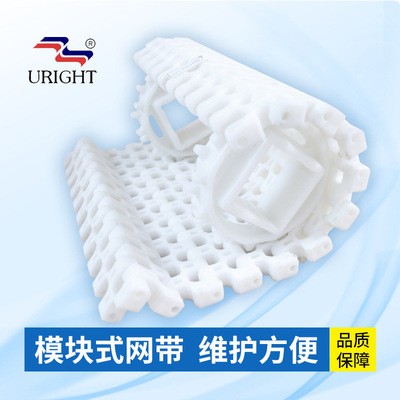 1000平面塑料PP网带 食品级输送机链板网带 节距24.5输送链条网带图2