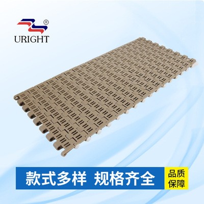 1000平面塑料PP网带 食品级输送机链板网带 节距24.5输送链条网带图4