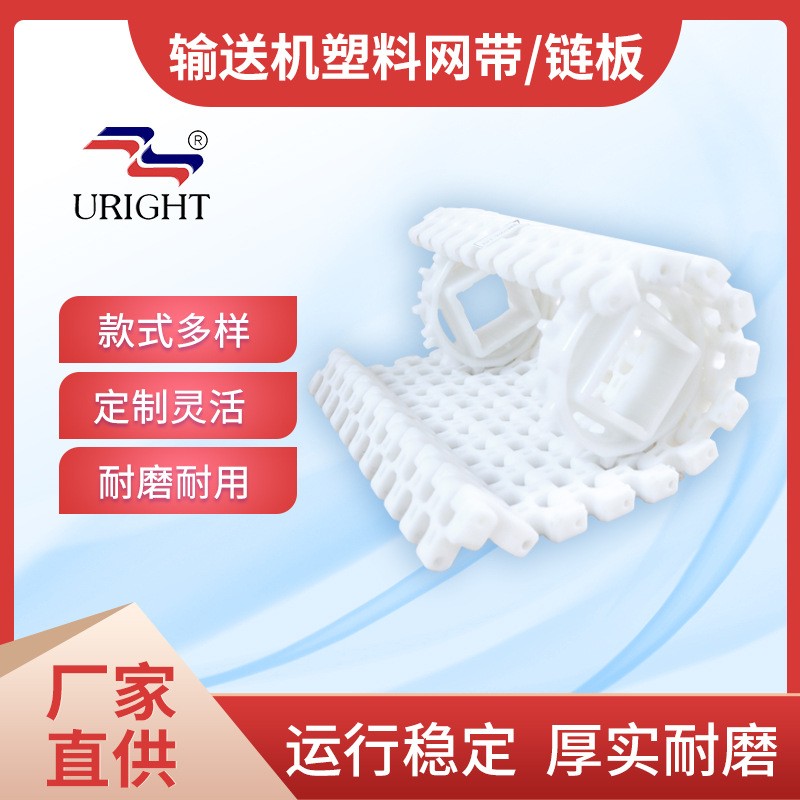 SNB小圆孔塑料链板网带 opb塑料网链 pp塑料模块食品输送带定制图2
