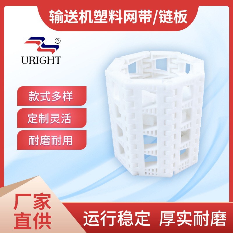 定制塑料网带 pp网链输送带 opb带孔塑料网带 模块式塑料链板加工图2