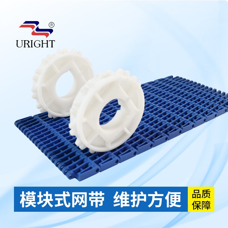 定制塑料网带 pp网链输送带 opb带孔塑料网带 模块式塑料链板加工图5