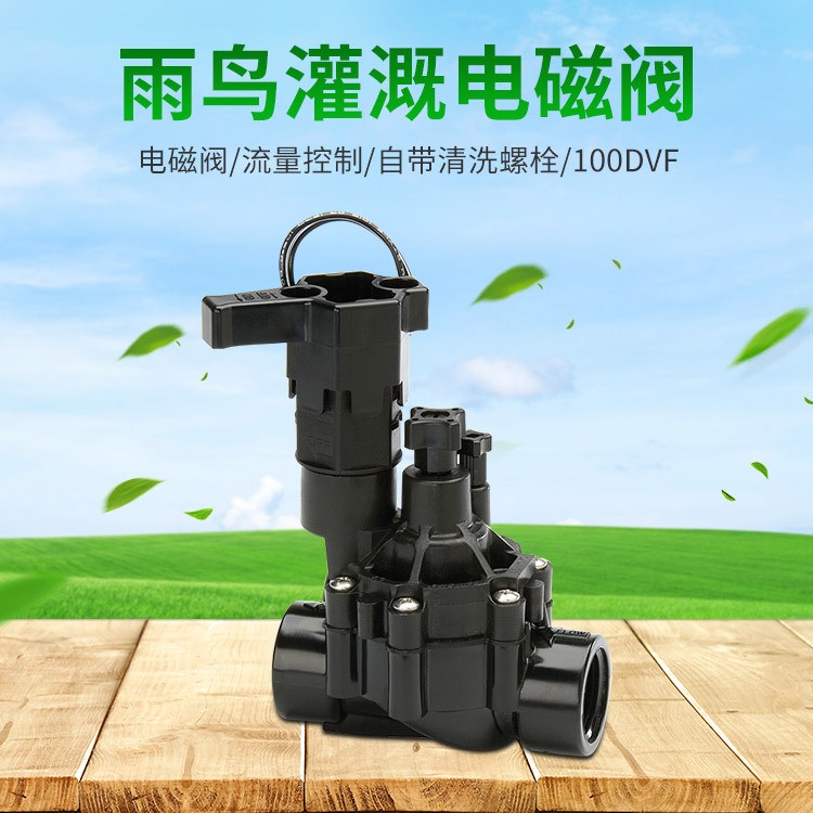 美国雨鸟电磁阀100DVF 流量控制 自带清洗螺栓图3