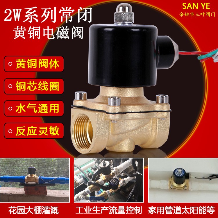 余姚三叶黄铜电磁阀开关阀220V24V水阀 丝扣阀4分6分1寸铜线圈图2