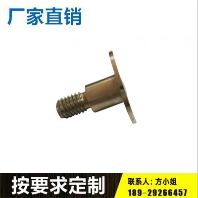 厂家供应 不锈钢 圆头 T形 内六角螺丝 紧定螺钉 来图来样定制500件起批