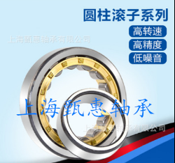 圆柱滚子轴承NCF204V轴承图3