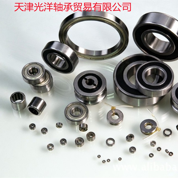 不绣钢NSK轴承6318hU1 6313TP.P63 6312TP.P6图4