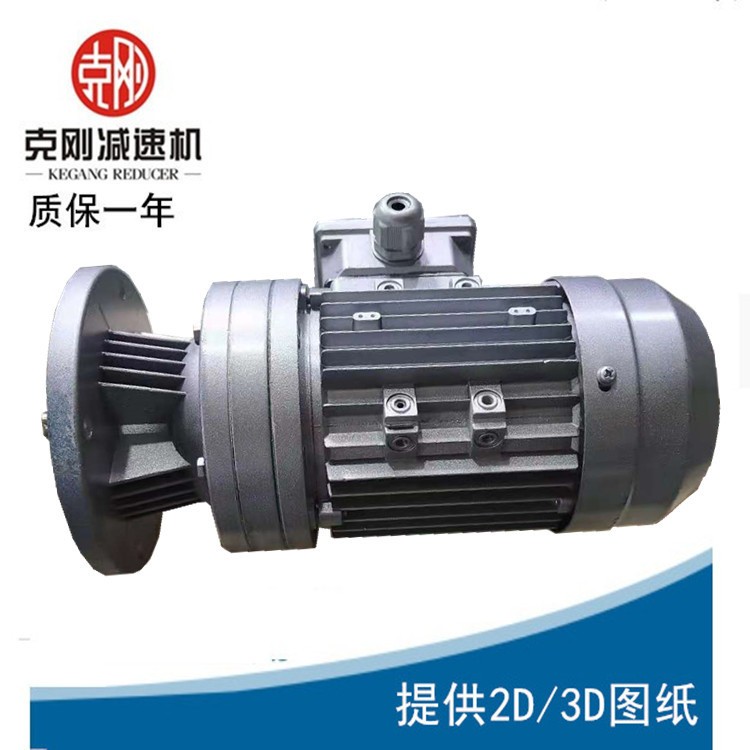 工厂直供WB100立式微型摆线针轮减速机图3
