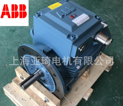 ABB原装正品防爆电机EX II CT4防爆等级船用防爆电机图2