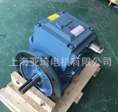 ABB原装正品防爆电机EX II CT4防爆等级船用防爆电机图4