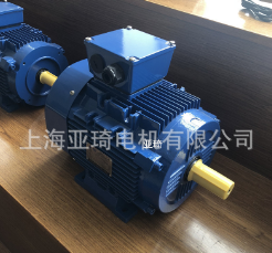 UL认证电机 出口美国 特殊电压60HZ 220V 460V 480V图2