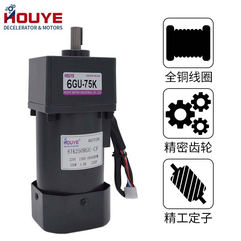 250W交流齿轮调速电机/220V减速马达定速6IK250RGU-CF三相电机图4