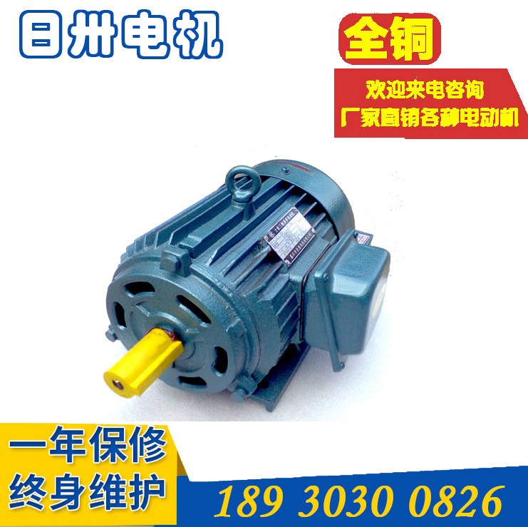 销售 YLJ112-10-6 三相异步力矩电动机 力矩电机图2
