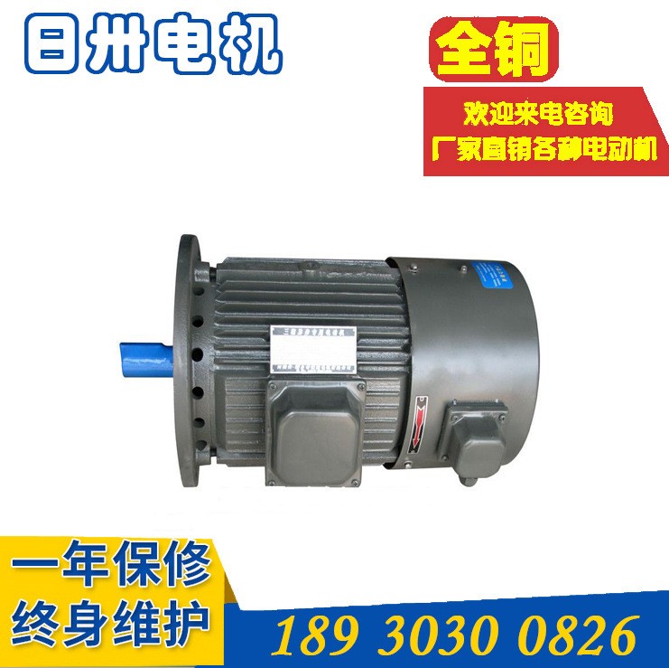 销售 YLJ112-10-6 三相异步力矩电动机 力矩电机图5
