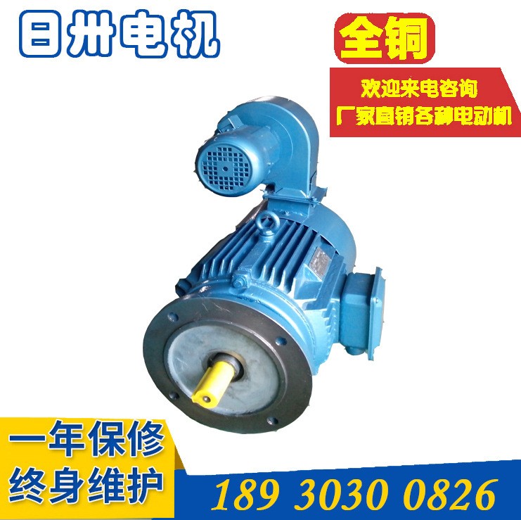 直销YLJ90-3-4 YLJ90-2-4 力矩三相异步电动机图3