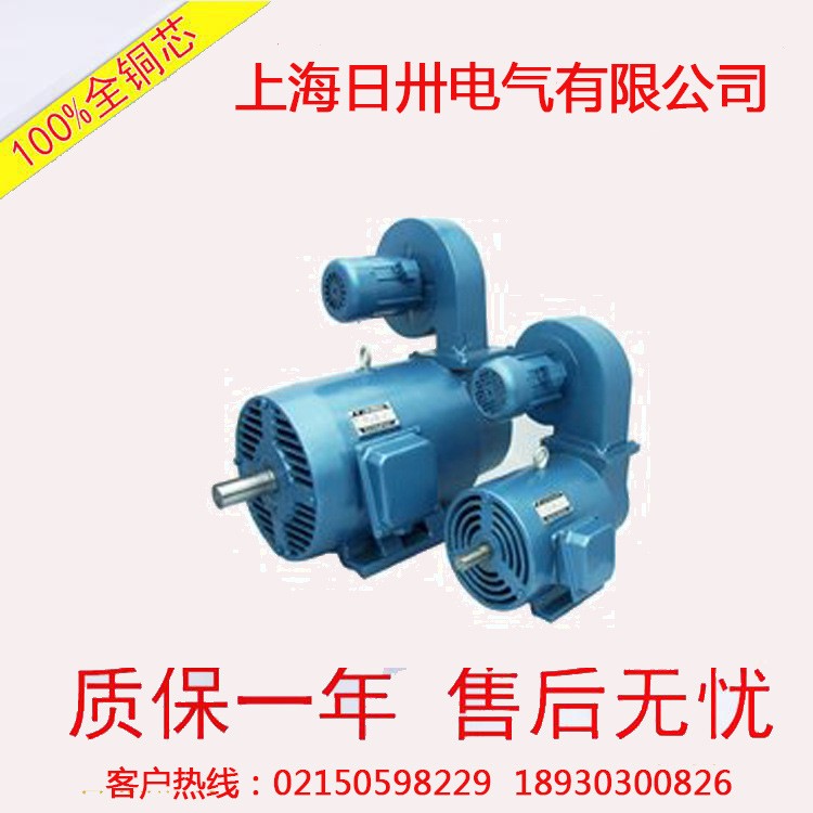 直销YLJ90-3-4 YLJ90-2-4 力矩三相异步电动机图2