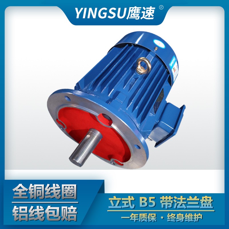 批发Y112M-4级4KW三相异步电动机 马达YE2-132S-4级5.5千瓦YX3图2