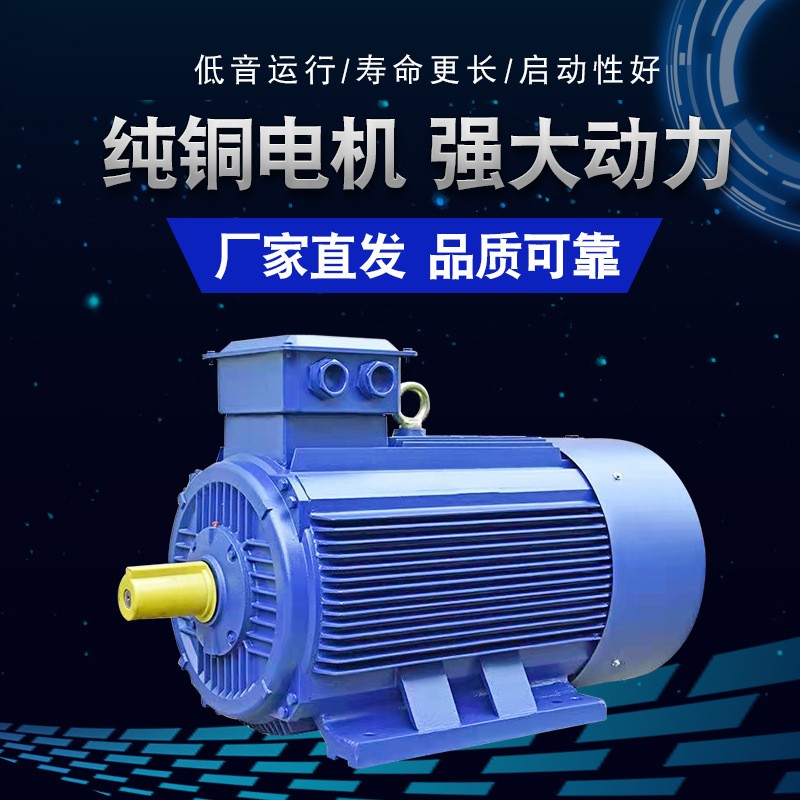 2022新款4级转速三相电机噪音低运行稳定 厂家批发三相异步电动机图2