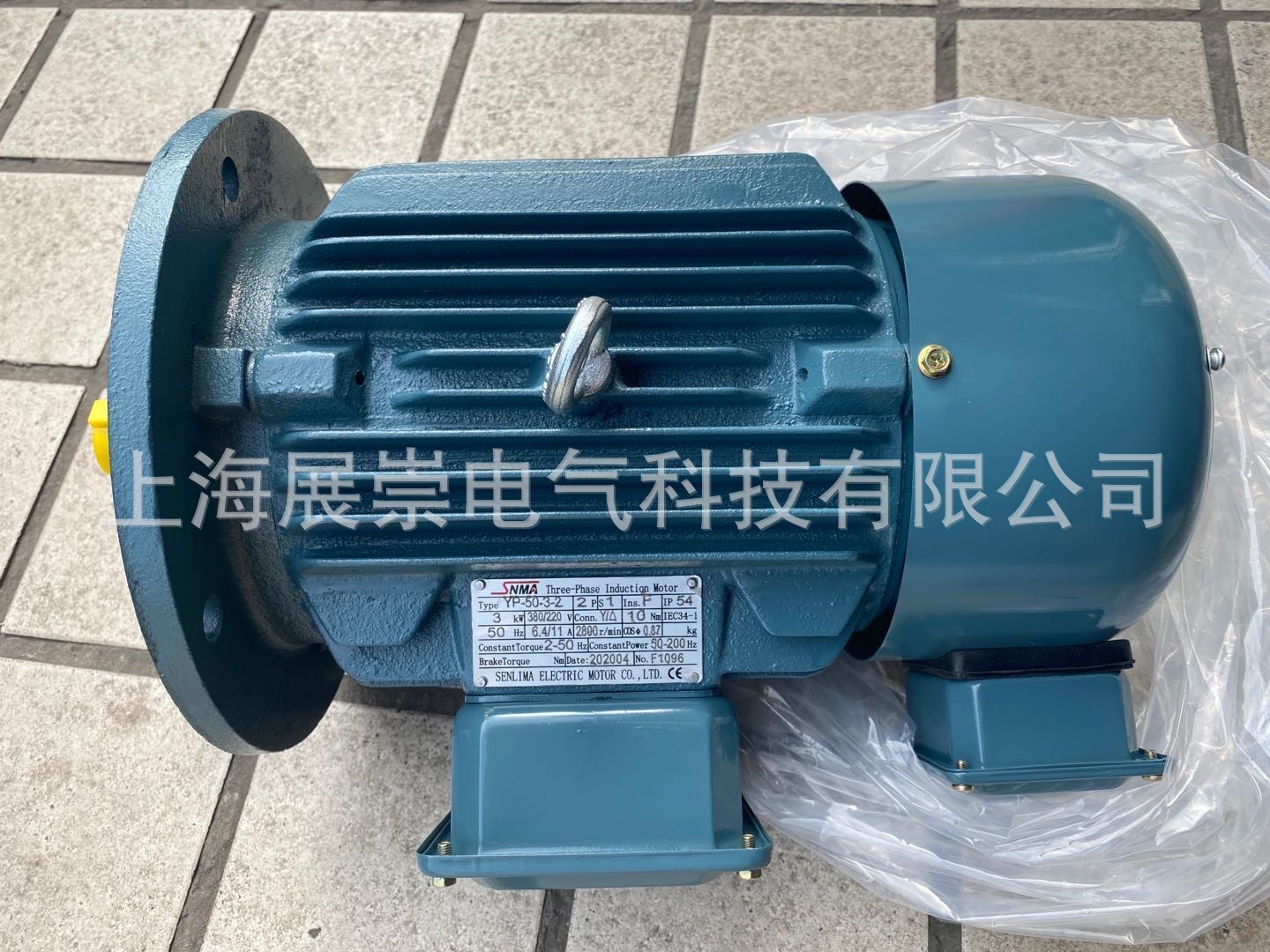 YPEJ-60-11-6 220V 60Hz SNMA电机 马达图4