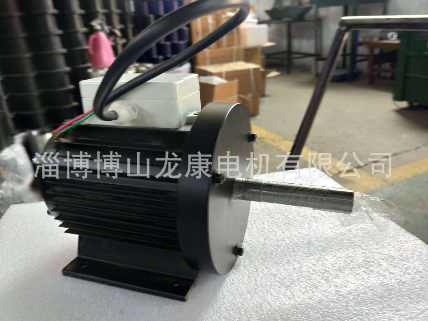 交流电机自行车运动员肌肉恢复专用电机 出轴加长220v2800转龙康图4