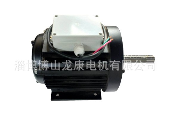 交流电机自行车运动员肌肉恢复专用电机 出轴加长220v2800转龙康图5