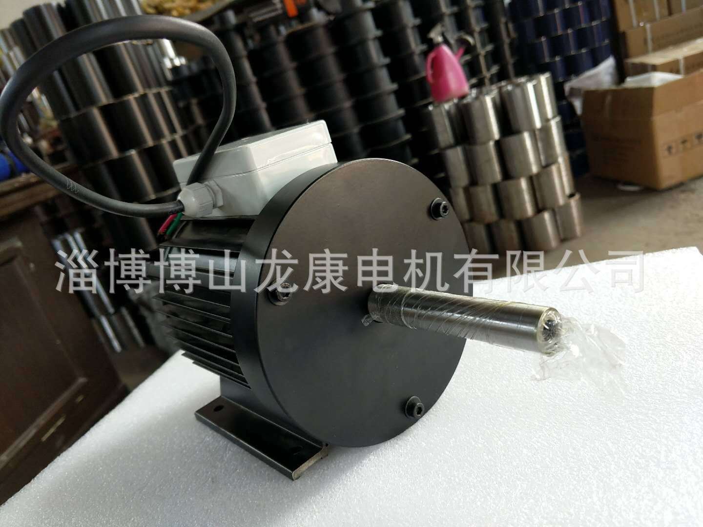 交流电机自行车运动员肌肉恢复专用电机 出轴加长220v2800转龙康图3