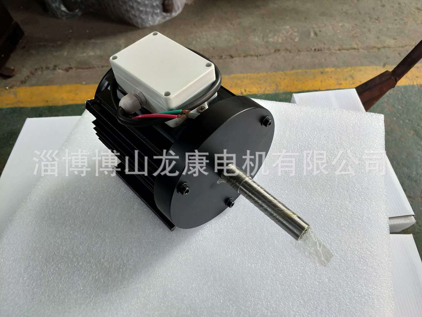 交流电机自行车运动员肌肉恢复专用电机 出轴加长220v2800转龙康图2