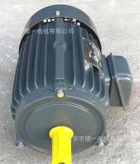 台湾款电机YT100L1-4-2.2KW 3马力4级 三相电机 立大图3