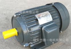 台湾款电机YT100L1-4-2.2KW 3马力4级 三相电机 立大图2