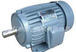 台湾款电机YT100L1-4-2.2KW 3马力4级 三相电机 立大图4