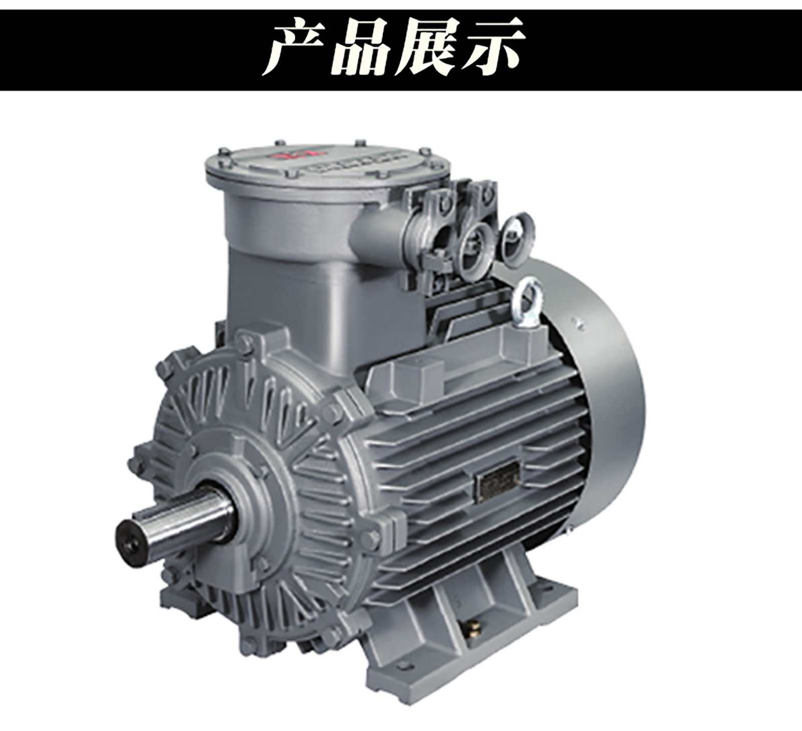 西门子贝得电机三相异步0.75KW1.1KW1.5KW4极立式卧式全新正品图4