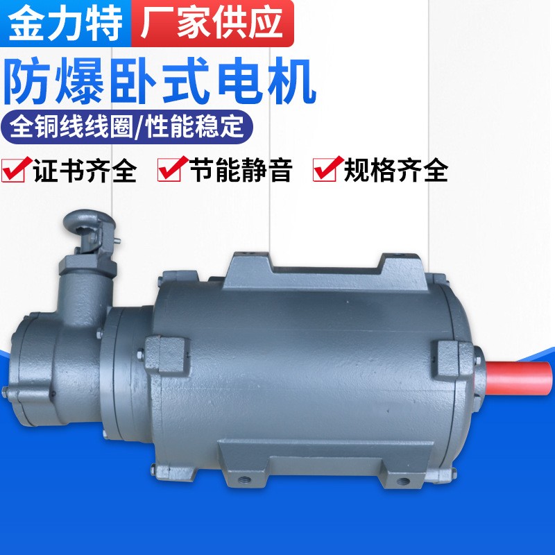 铜芯0.37KW-315KW隔爆型三相异步电动机 YB3系列轴流防爆卧式电机图4