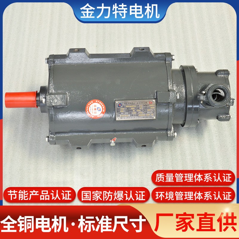 YSF/YT风机电机电动机YT160M-4-11KW 高速轴流三相异步电动机 电机图3