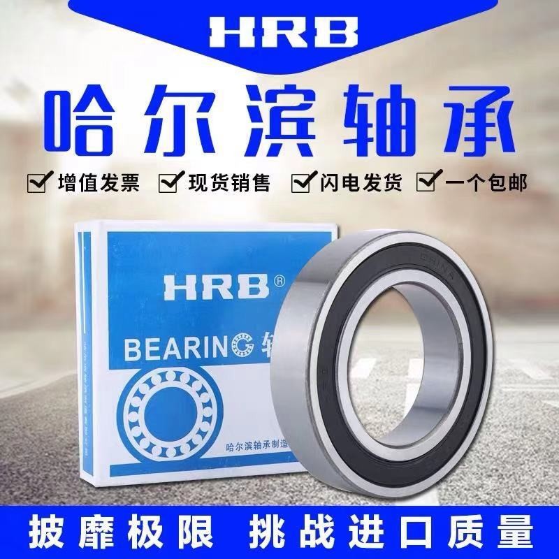 哈尔滨轴承6300 6301 6302 6303 6304 6305 6306 /2Z/2RZ图3