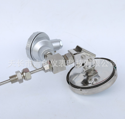 双金属温度计WSSP-411温度传感器图2