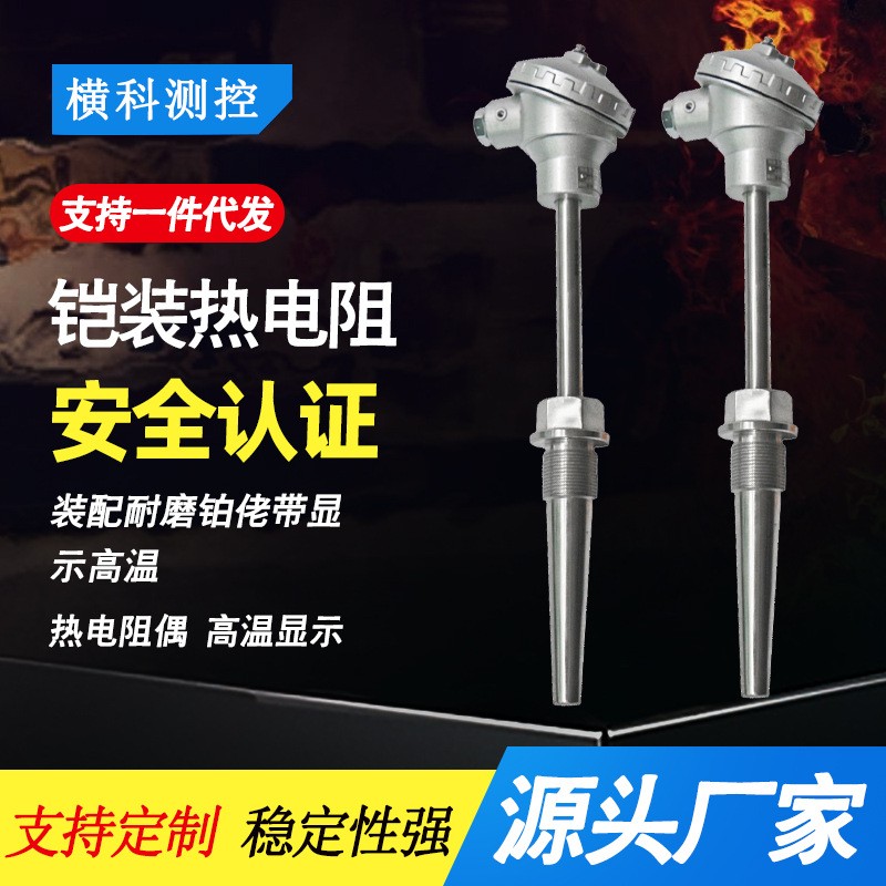 JSHKE PT100铠装铂热电阻WZP230装配耐磨铂佬带显示高温热电阻偶图2